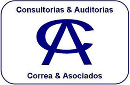 Consultorias y Auditorias